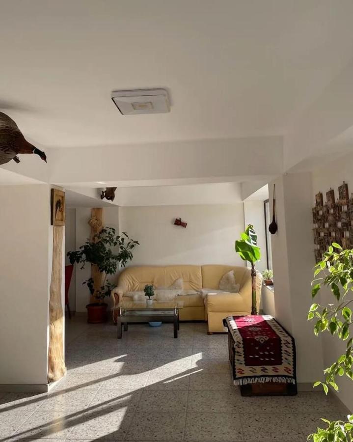 Casa De Vacanta Clara Maria 科马尔尼克 外观 照片