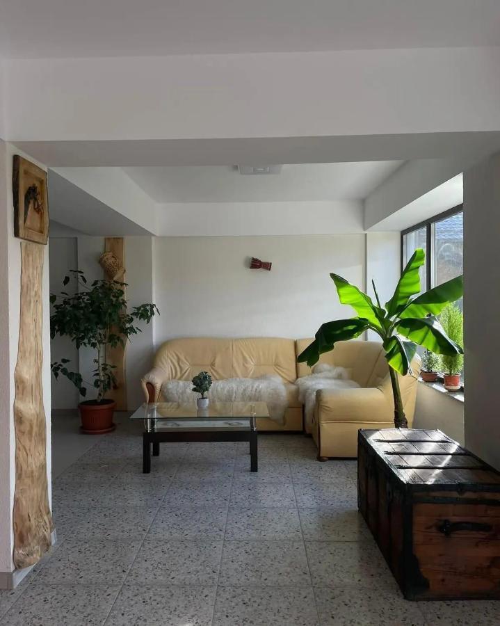 Casa De Vacanta Clara Maria 科马尔尼克 外观 照片
